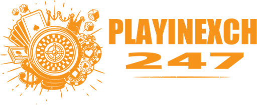 playinexch247 Logo